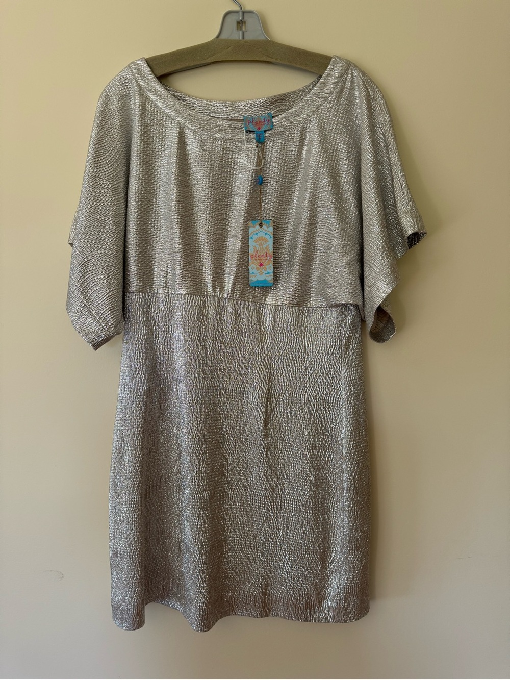Silver Dress